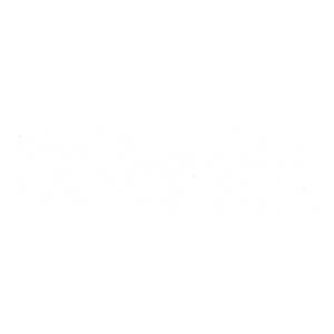 Toys for Tots : 